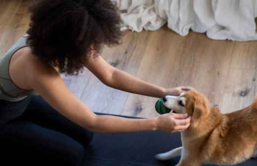 Personal Training Online