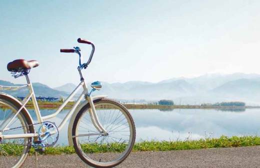 Aluguer de Bicicletas - Hotel e Creche para Animais