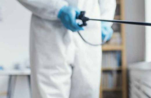 Desbaratização - Setúbal