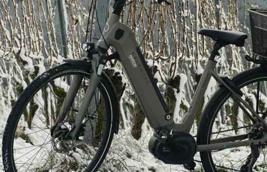 Reparação de Bicicleta Elétrica - Faro