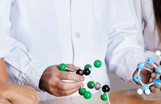 Nachhilfe in Biologie - Anatomie