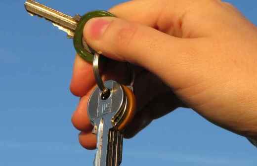 House Sitting - Aveiro
