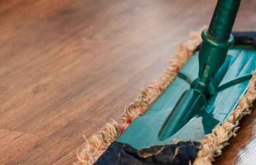 Qual é o preço de Serviços Domésticos em Alenquer? Fixando