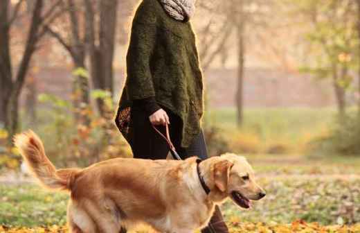 Dog Walking - Faro