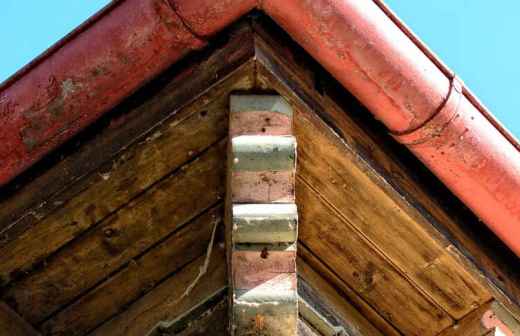 Gutter Cleaning and Maintenance - Gutter