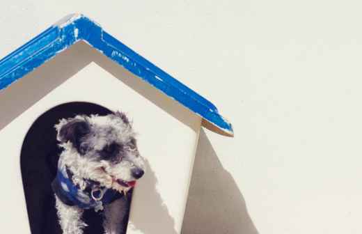 Hotel para Cães - Canis