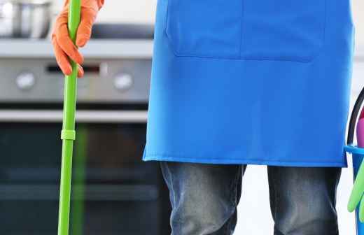 Qual é o preço de Serviços Domésticos em Loures? Fixando