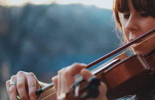 Viola Lessons - Chords