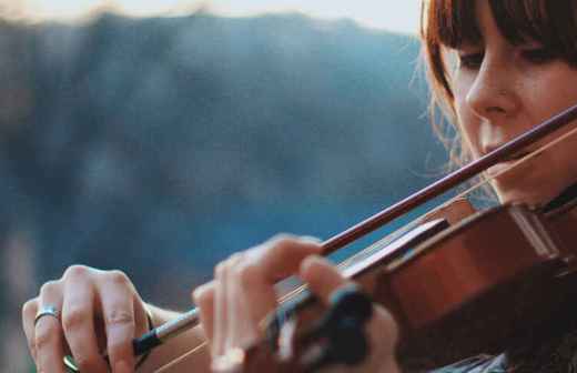 Viola Lessons - Instrument