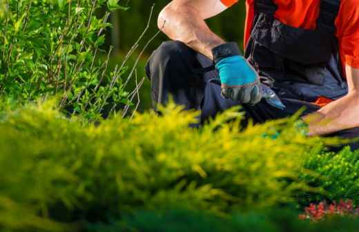 Gartenarbeit - Kaufen