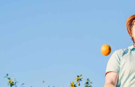 Juggling - Paredes