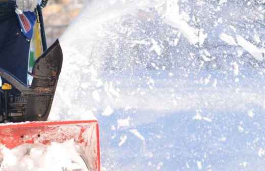 Limpa-neves (Residencial) - Amares