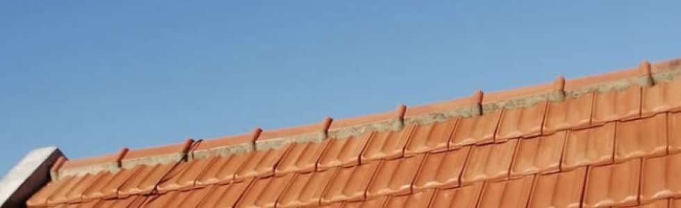 TELLES PINTURAS - Fixando