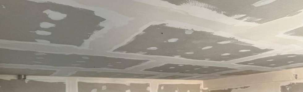 Remodela&ccedil;&otilde;es Cr&oacute;nicas Assertivas - Fixando