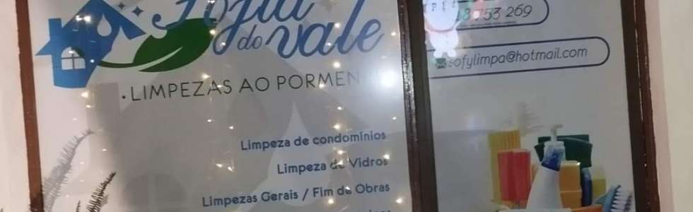 Sofia do vale unipessoal lda limpeza - Fixando
