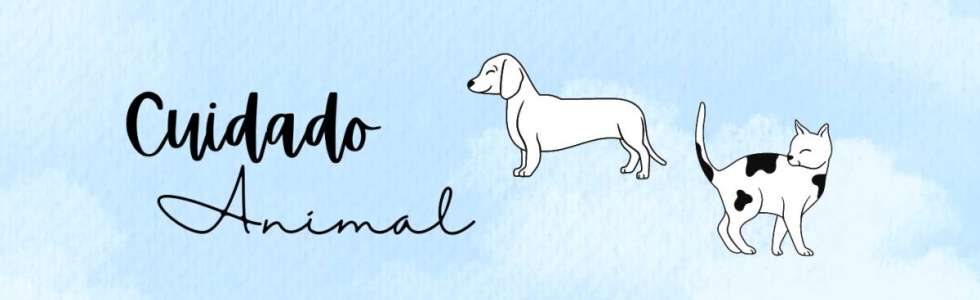 Cuidado Animal - Fixando