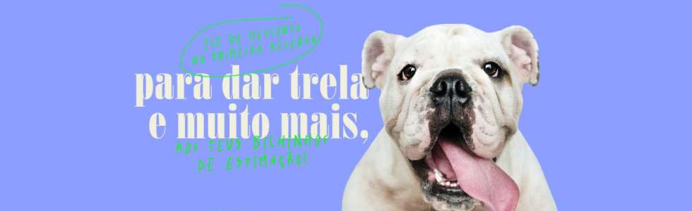 Maria Fernandes - Fixando