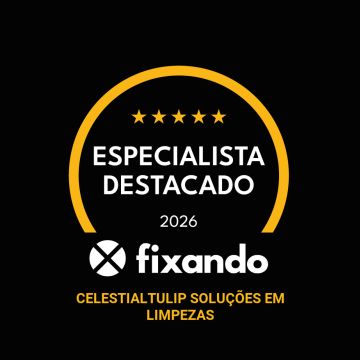 CelestialTulip Soluções em limpezas - Amadora - Limpeza a Fundo