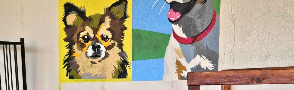 Andreia Galante - PetSitter/DogWalker - Fixando