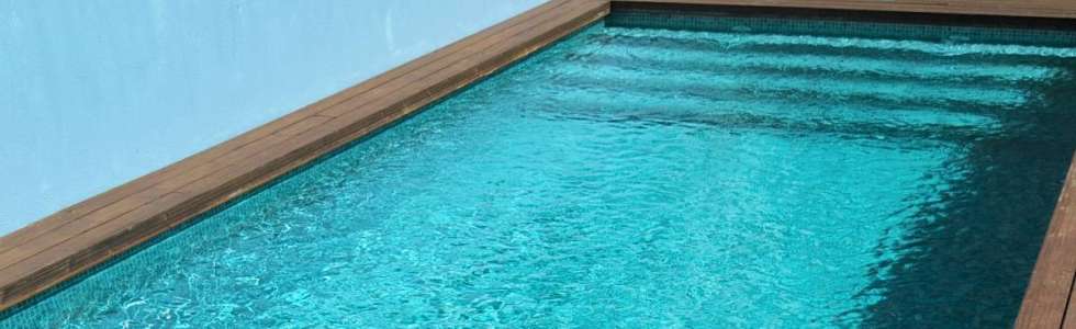 Scandic Pool Clean - Fixando