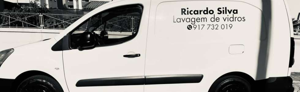 Ricardo Silva - Fixando