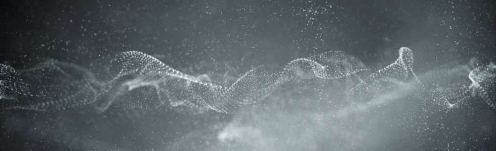 Joao Moura - Fixando