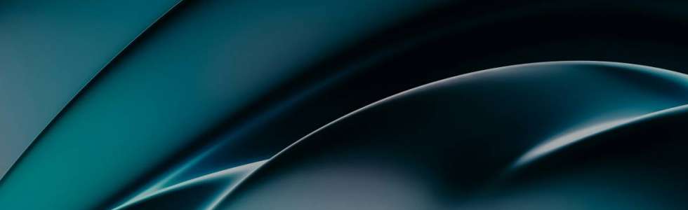 Paulo Armani - Fixando