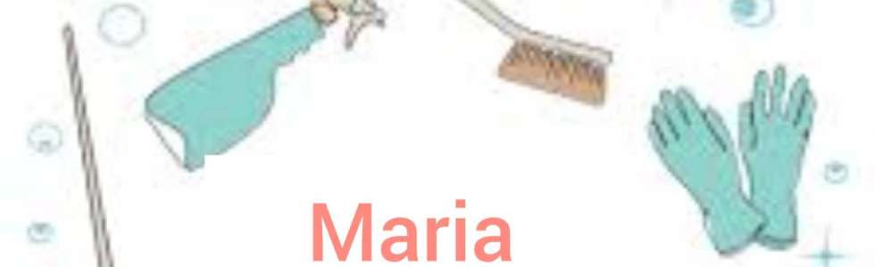 Maria limpezas - Fixando