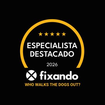 Who walks the dogs out? - Sintra - Haustierpflege