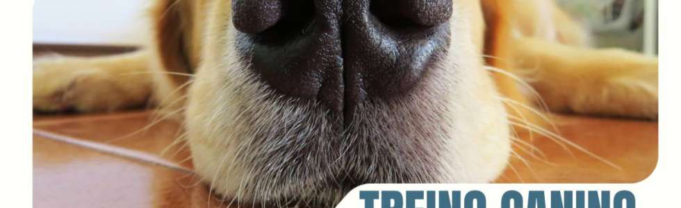 Bruna Mendes| Leal Canino - Fixando
