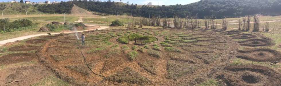 dvir - eco gardens - Fixando