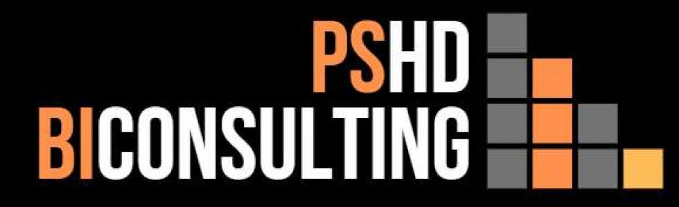PSHDBICONSULTING - BUSINESS INTELLIGENT, CONTABILIDADE, GEST&Atilde;O - Fixando