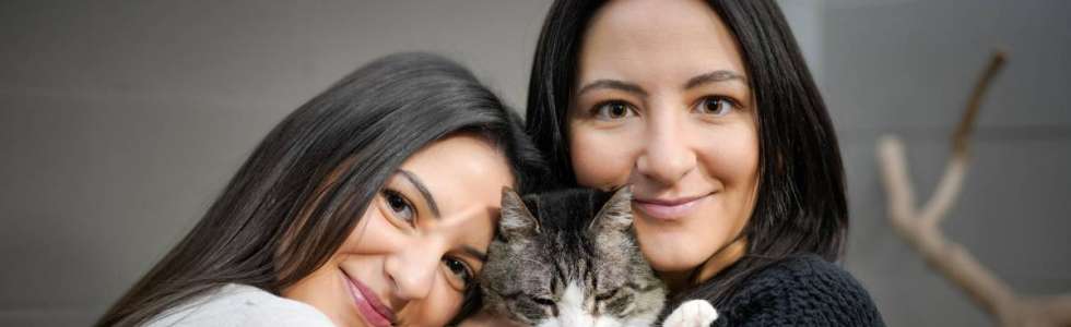 CatSisters - Fixando