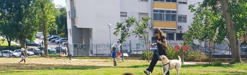 For Dog's Sake! - Fixando