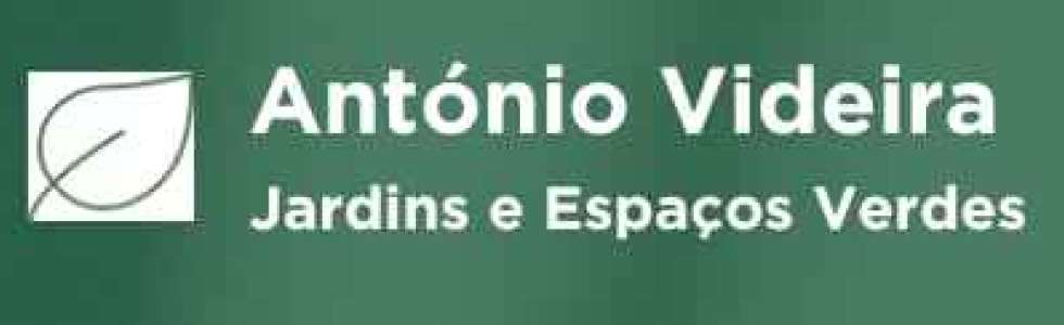 Antonio Videira - Fixando