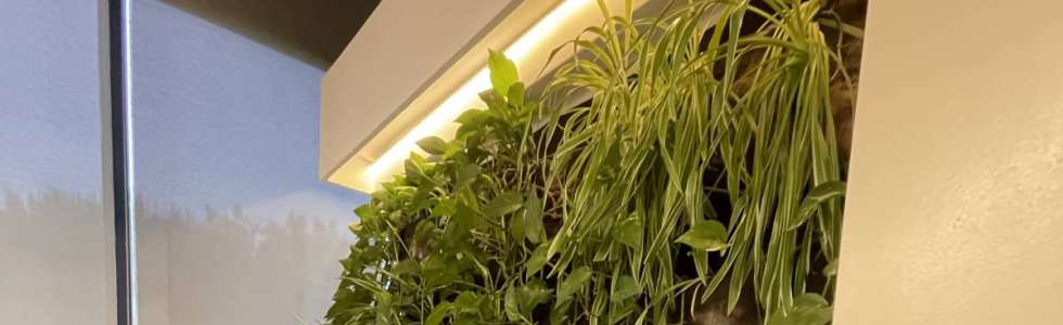 Jardinagem Lima - Fixando