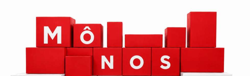 M&ocirc;nos - Professional Organization - Fixando