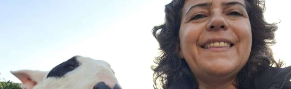 Paula Horta - Fixando