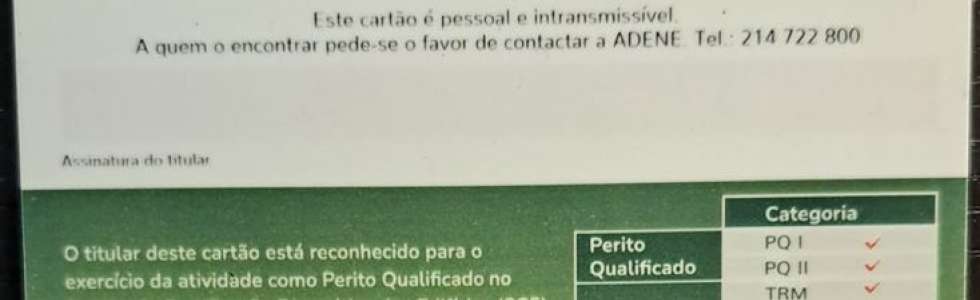 Lu&iacute;s Carvalho - Fixando