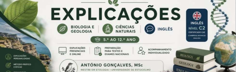Ant&oacute;nio Gon&ccedil;alves - Fixando