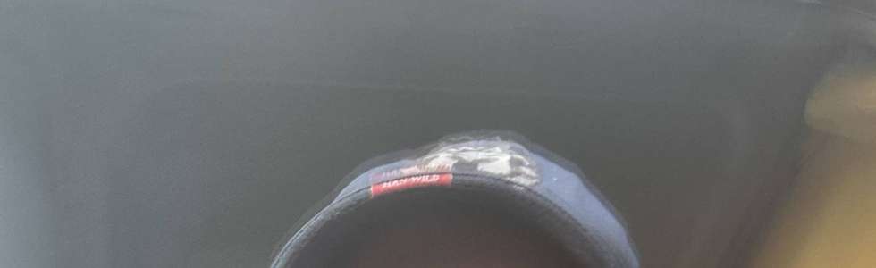 Manuel Santos - Fixando