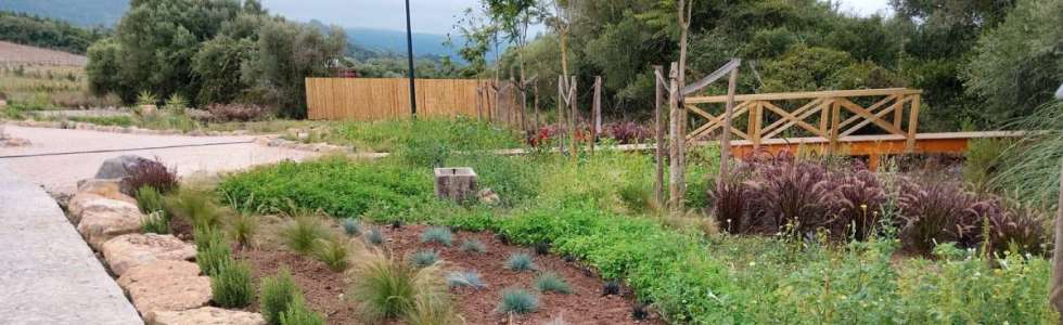 Prunus - Arquitectura e Paisagismo - Fixando