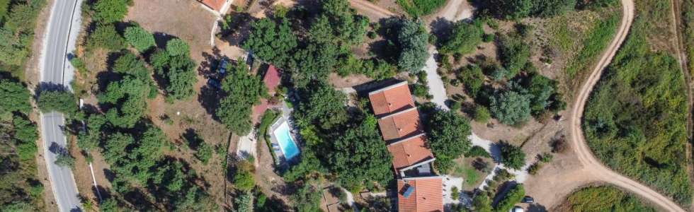 Solange Duarte | Portugal Relocation & Property Services - Fixando
