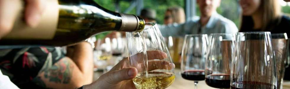 Sommelier Bruno Firmino - Fixando
