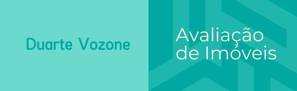 DUARTE VOZONE - Fixando