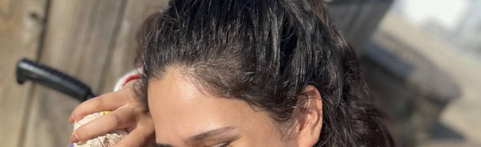 Maria Santos - Fixando