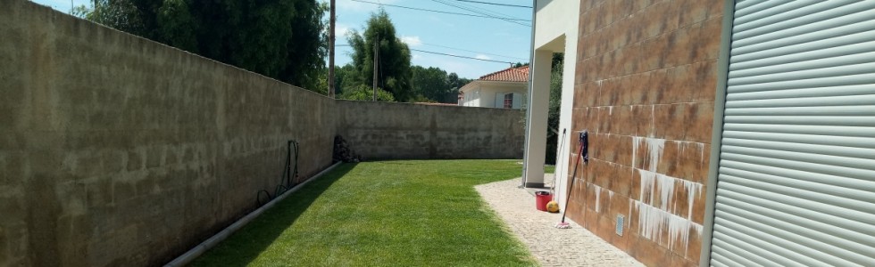 Projeto Verde-Jardinagem - Fixando