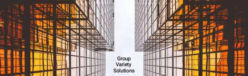 Group Variety Solutions Consultadoria & Prestação Serviços - Fixando