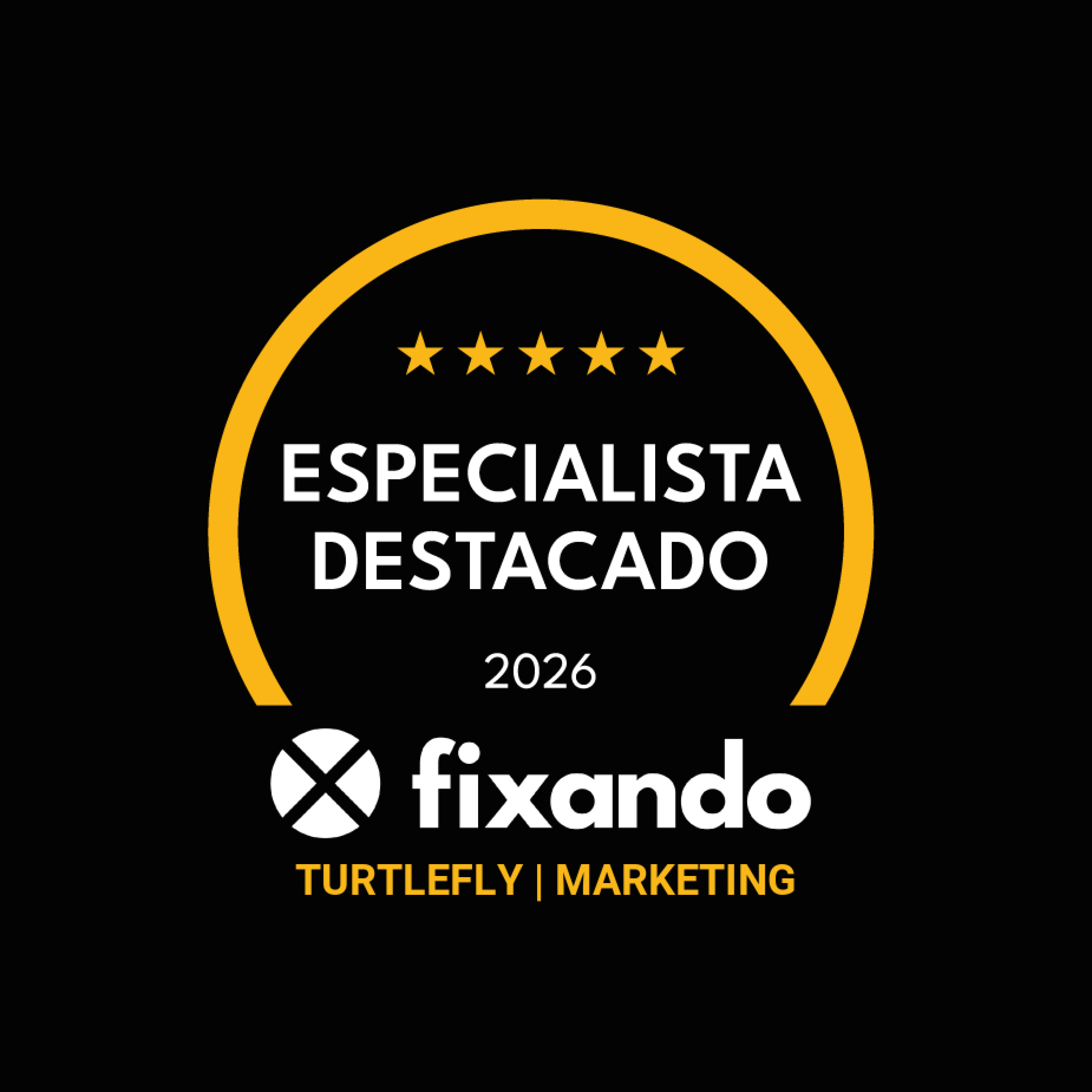 Turtlefly | Marketing - Vila Nova de Gaia - Web Design