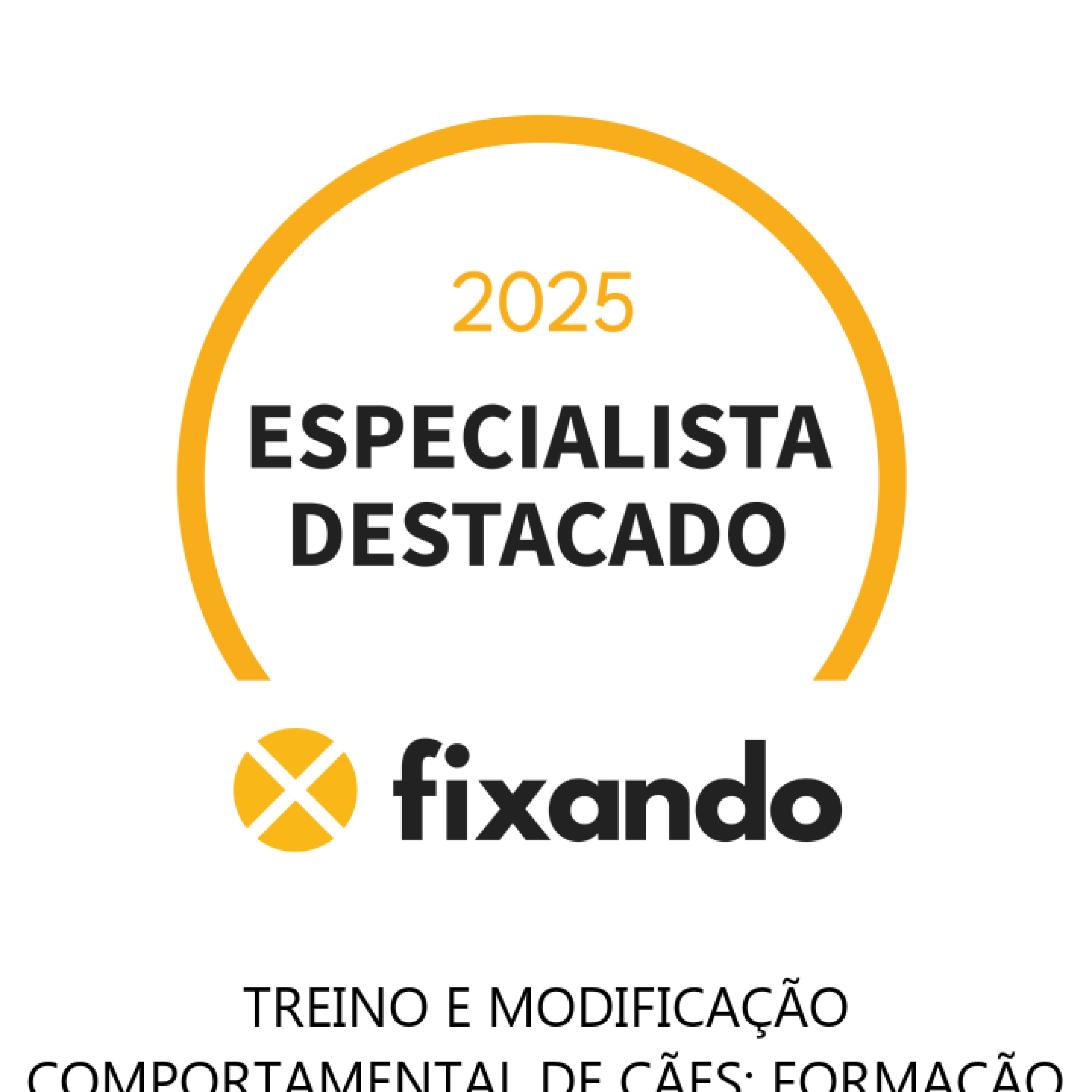 Treino e modificação comportamental de cães; Formação para tutores de cães; Terapias assistidas com cães; - Santarém - Dog Training - Private Lessons